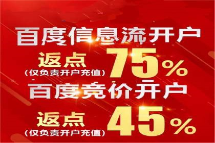 竞价排名关键词优化实战案例分析